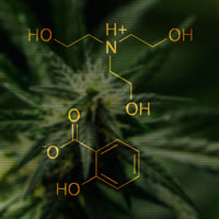 MAXIMUM-STRENGTH TROLAMINE SALICYLATE