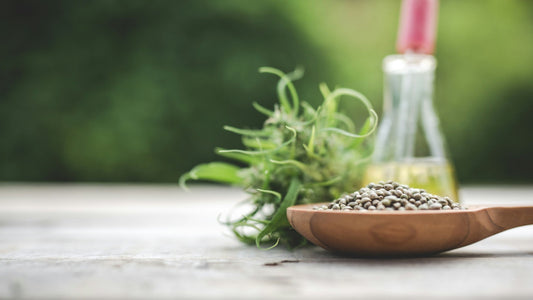 Wooden spoon of hemp seeds beside a bottle of cold-pressed hemp seed oil and a fresh hemp sprig