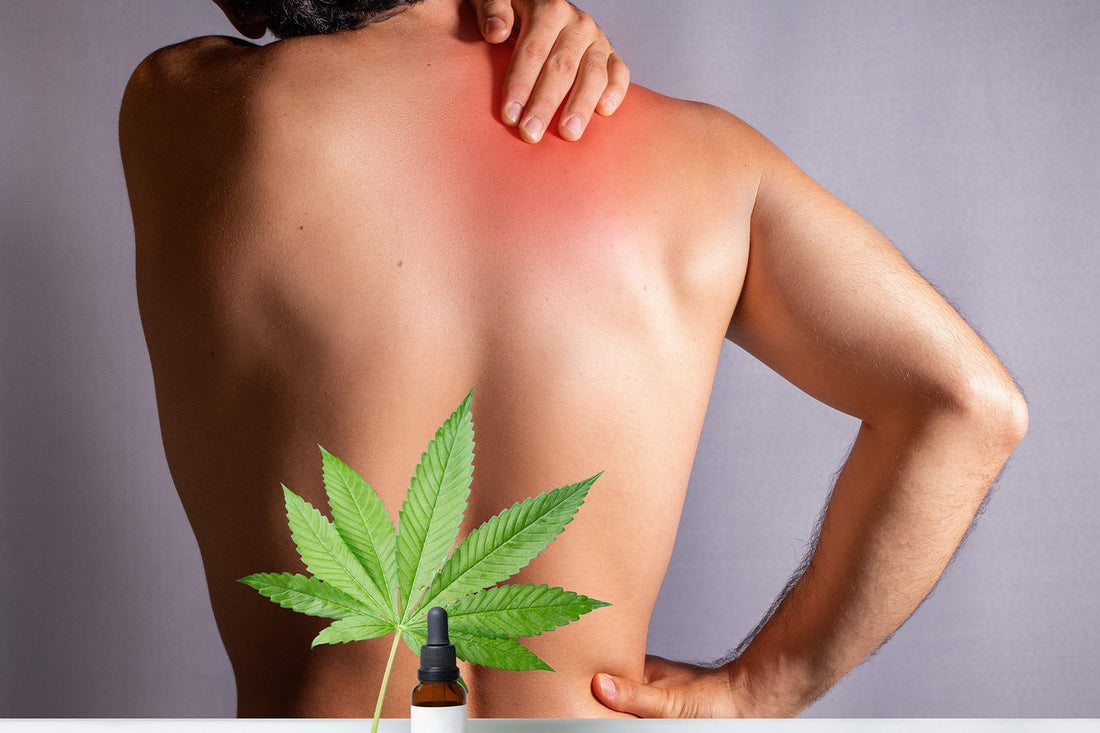 What You Should Know About Taking CBD for Muscle Recovery
